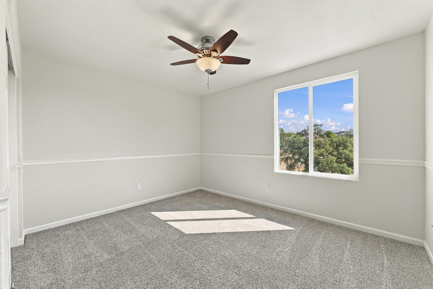 3667 Archetto Drive