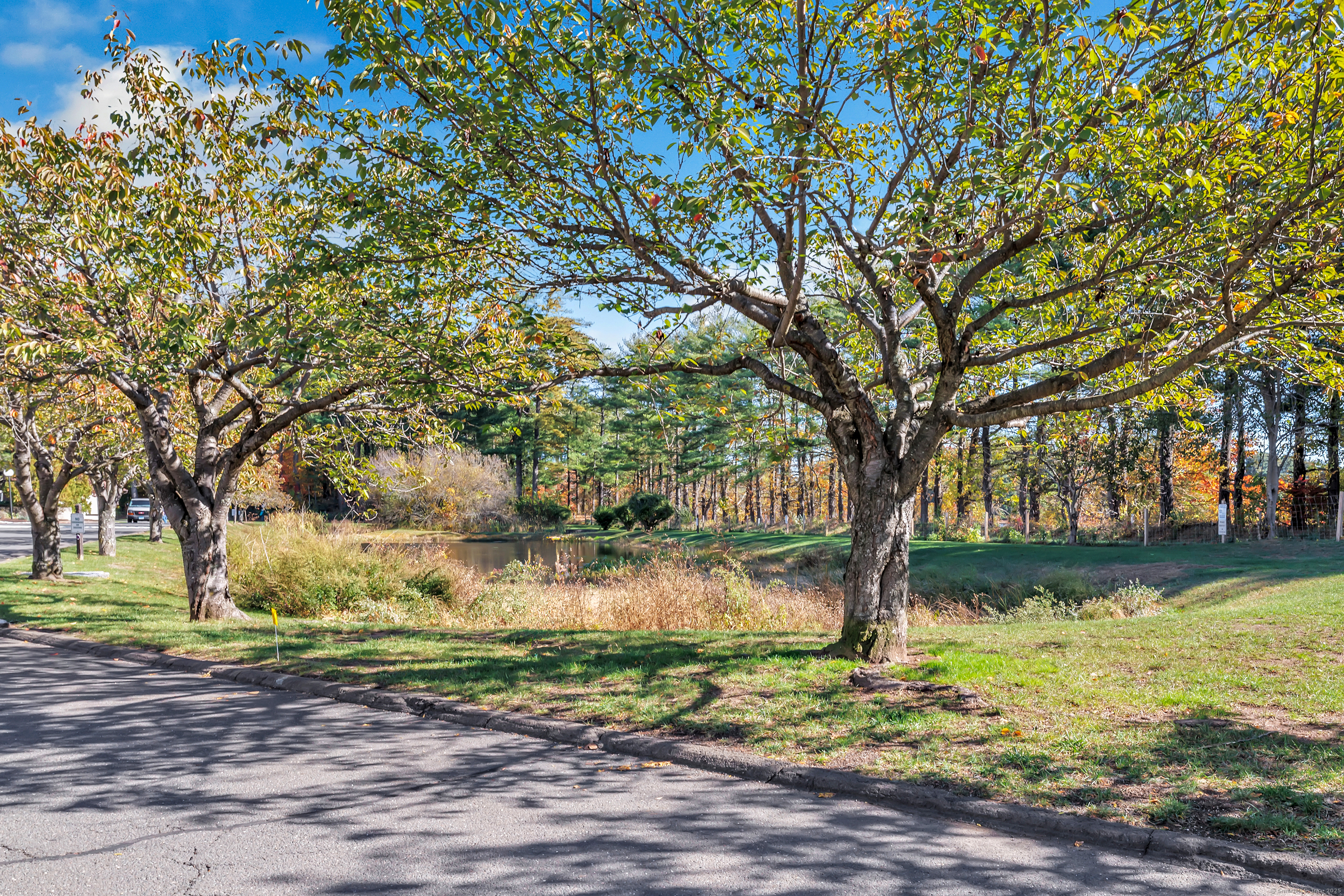 365 Mather Street APT 138