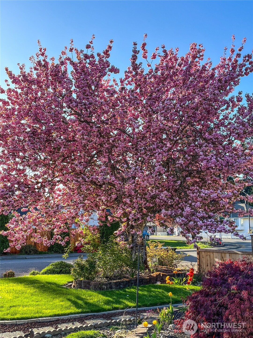 26012 SE 192nd Place