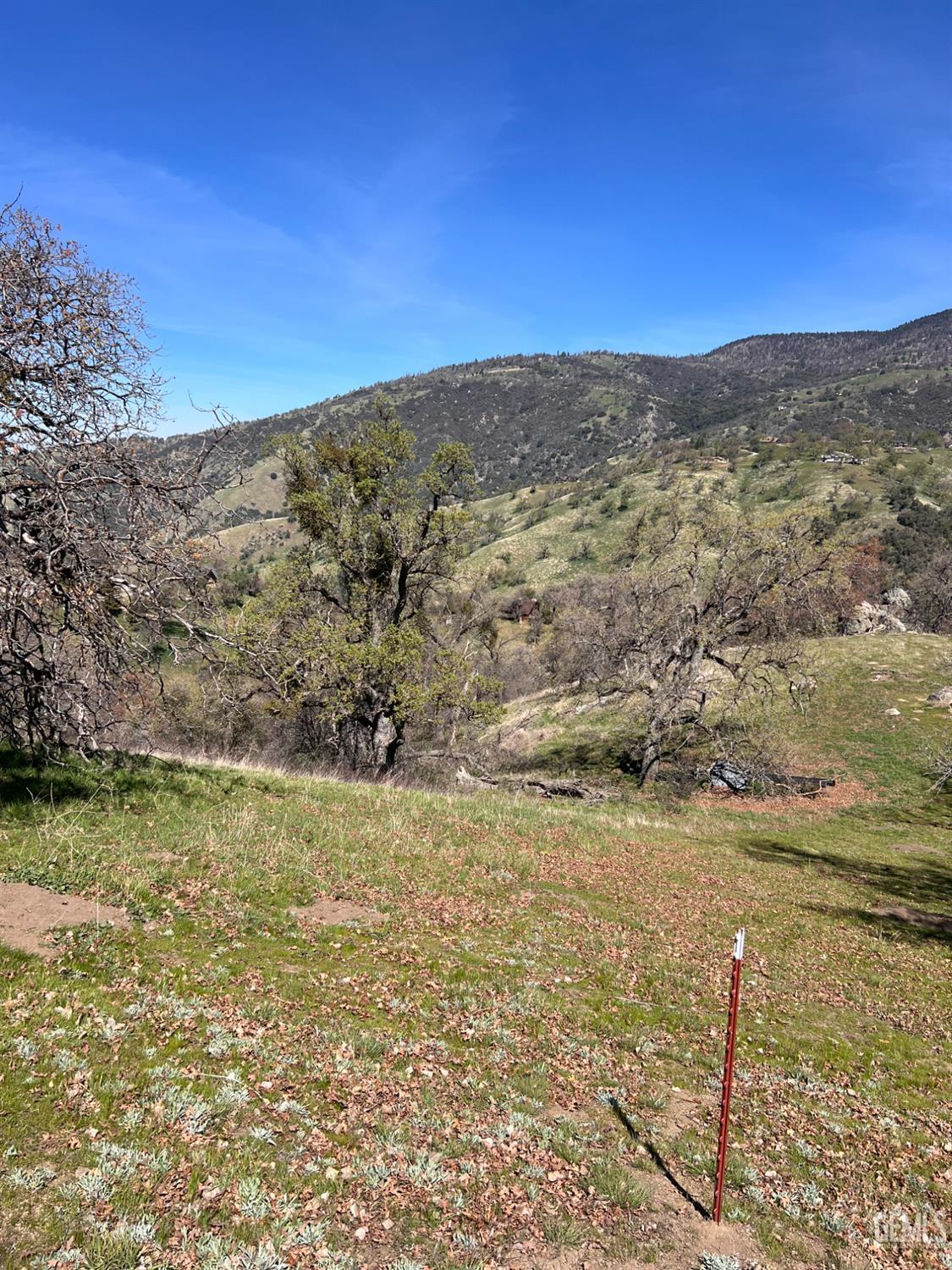 24200 Canyon Court