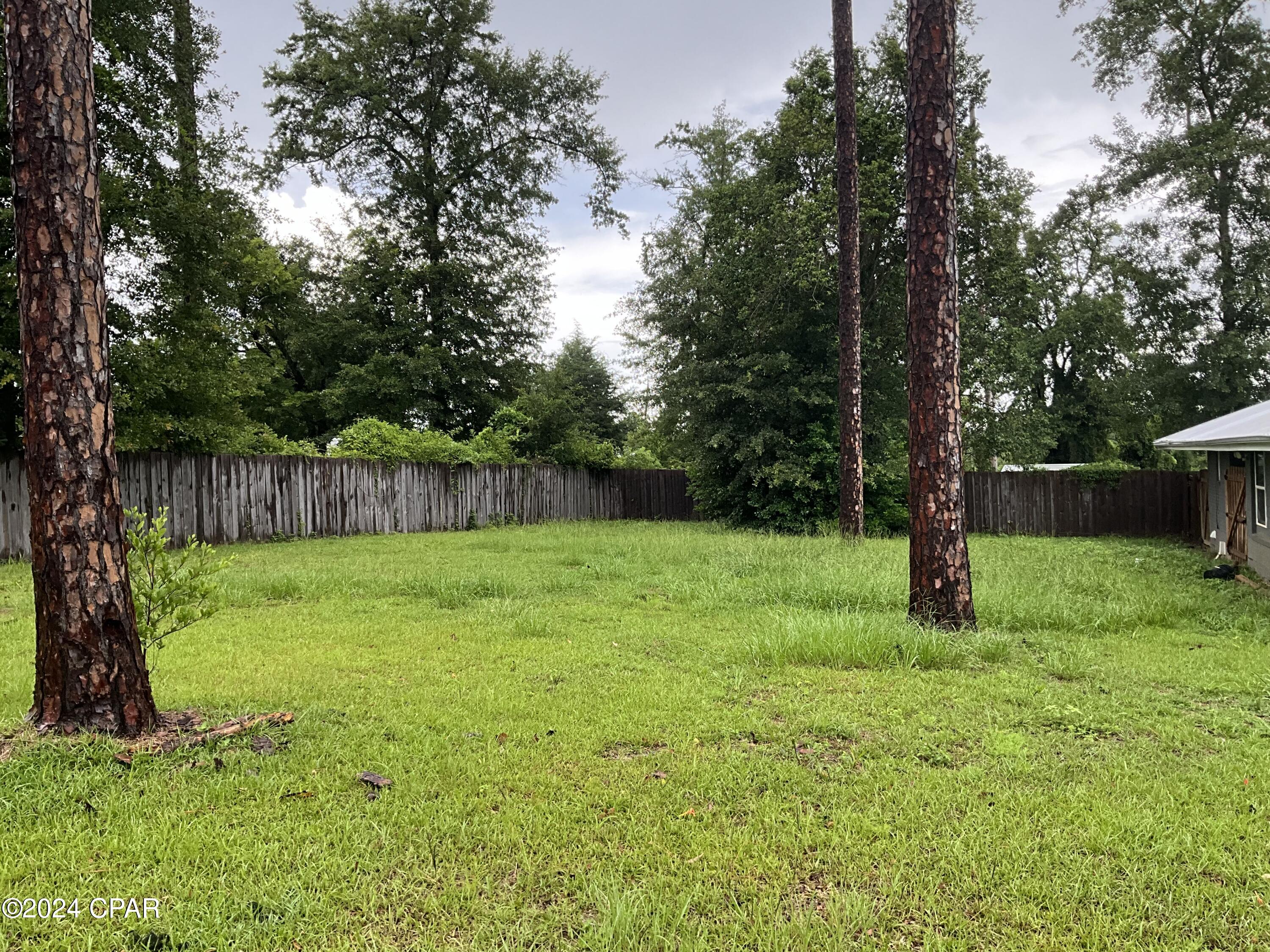 3009 Amelia Drive