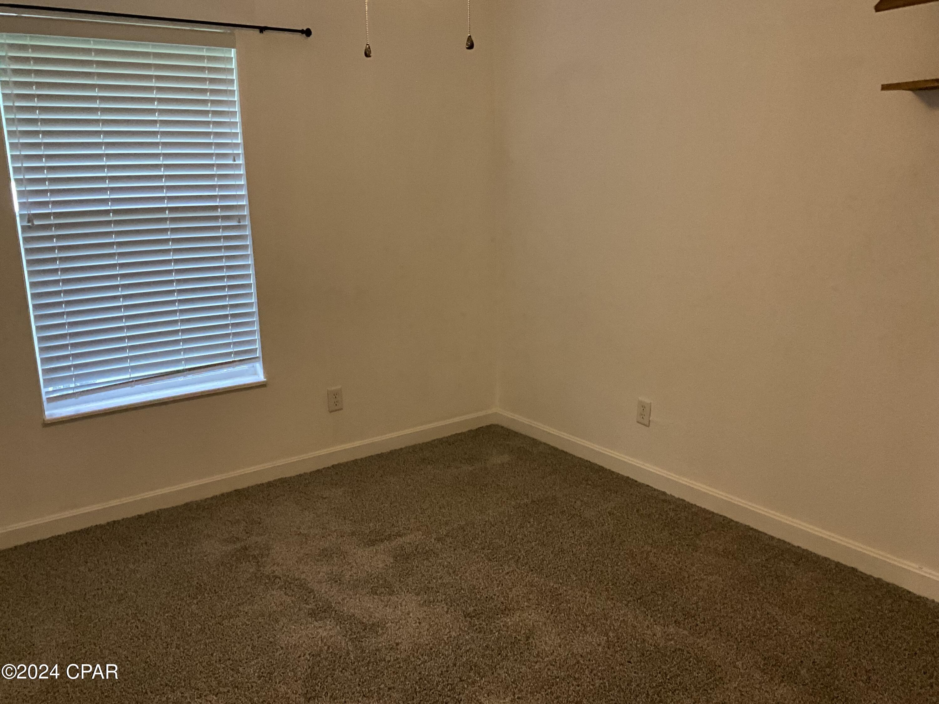 3009 Amelia Drive