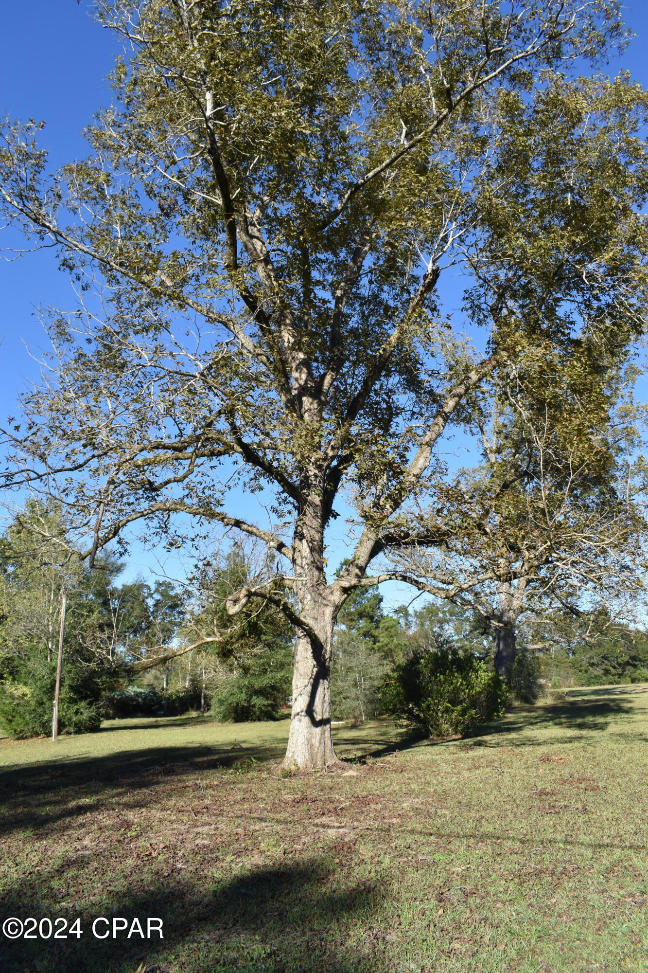 749 Stewart Road