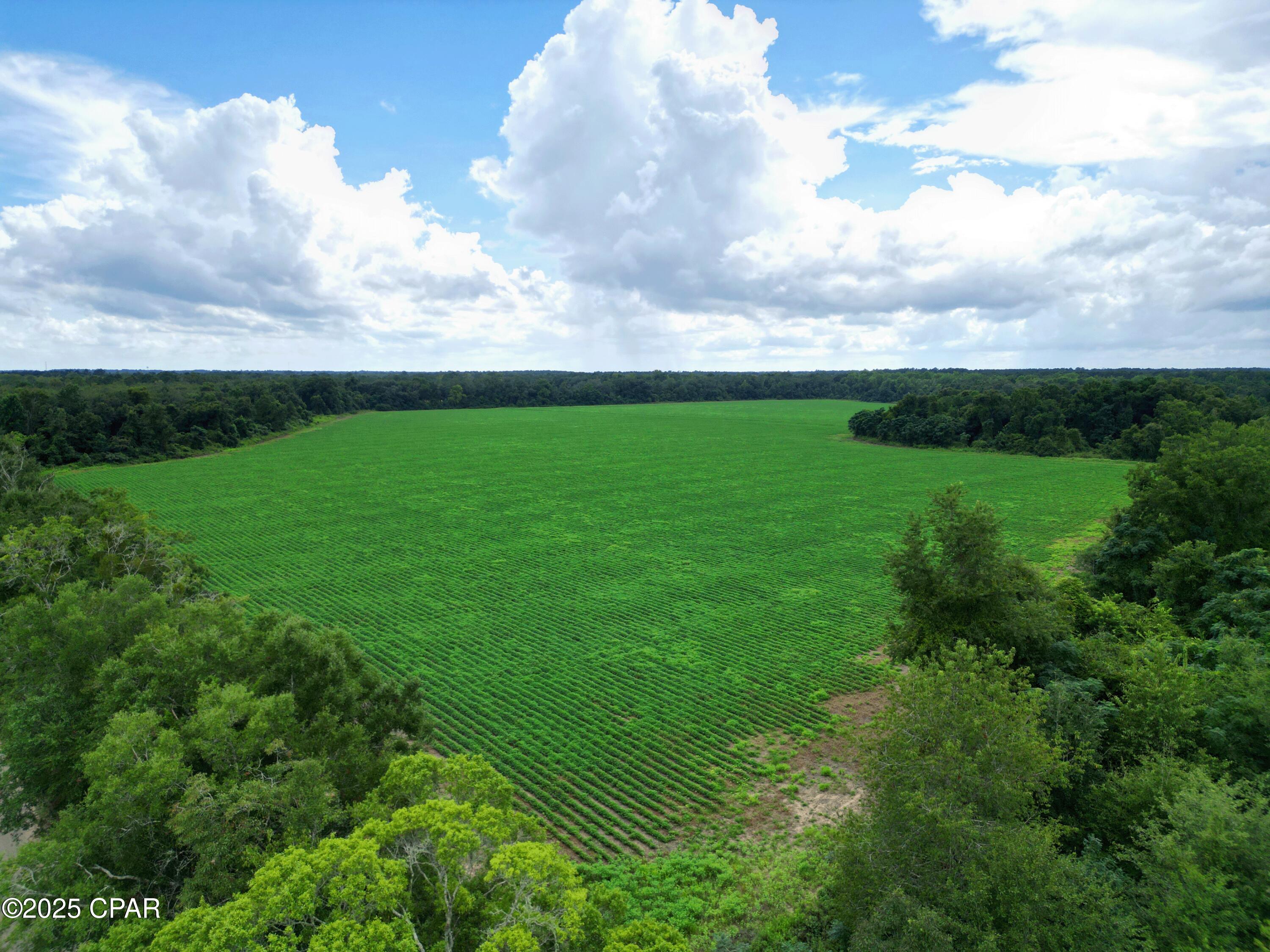 0 Juniper Creek Road