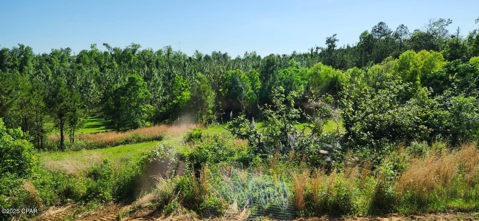 3037 Hunter Fish Camp Road