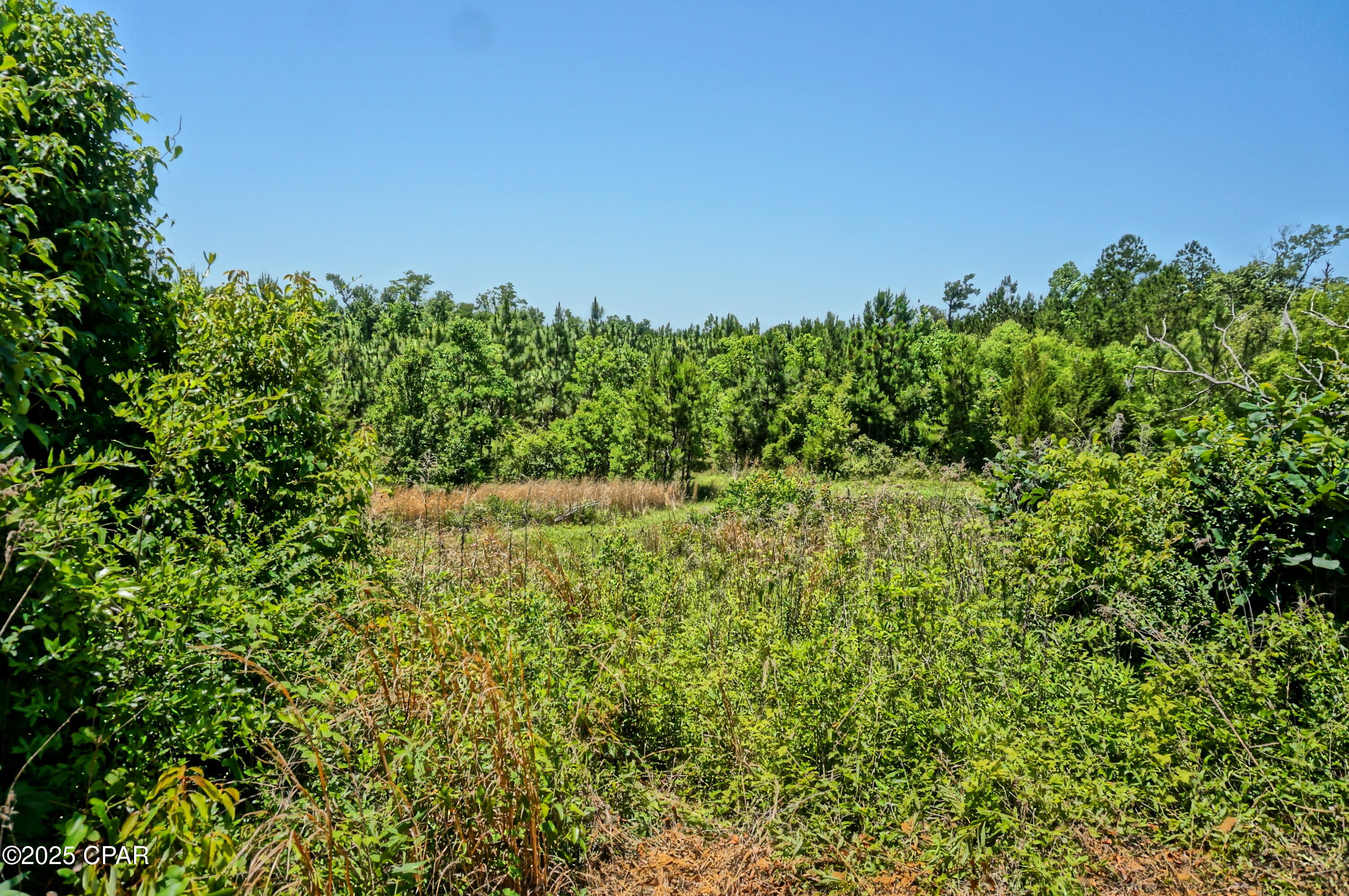 3037 Hunter Fish Camp Road