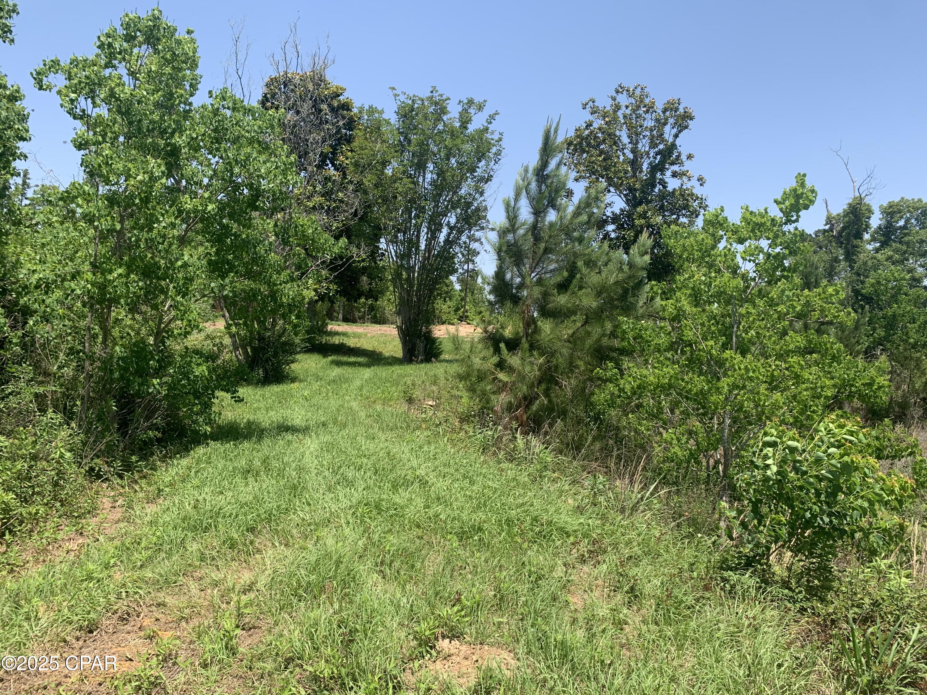 3037 Hunter Fish Camp Road