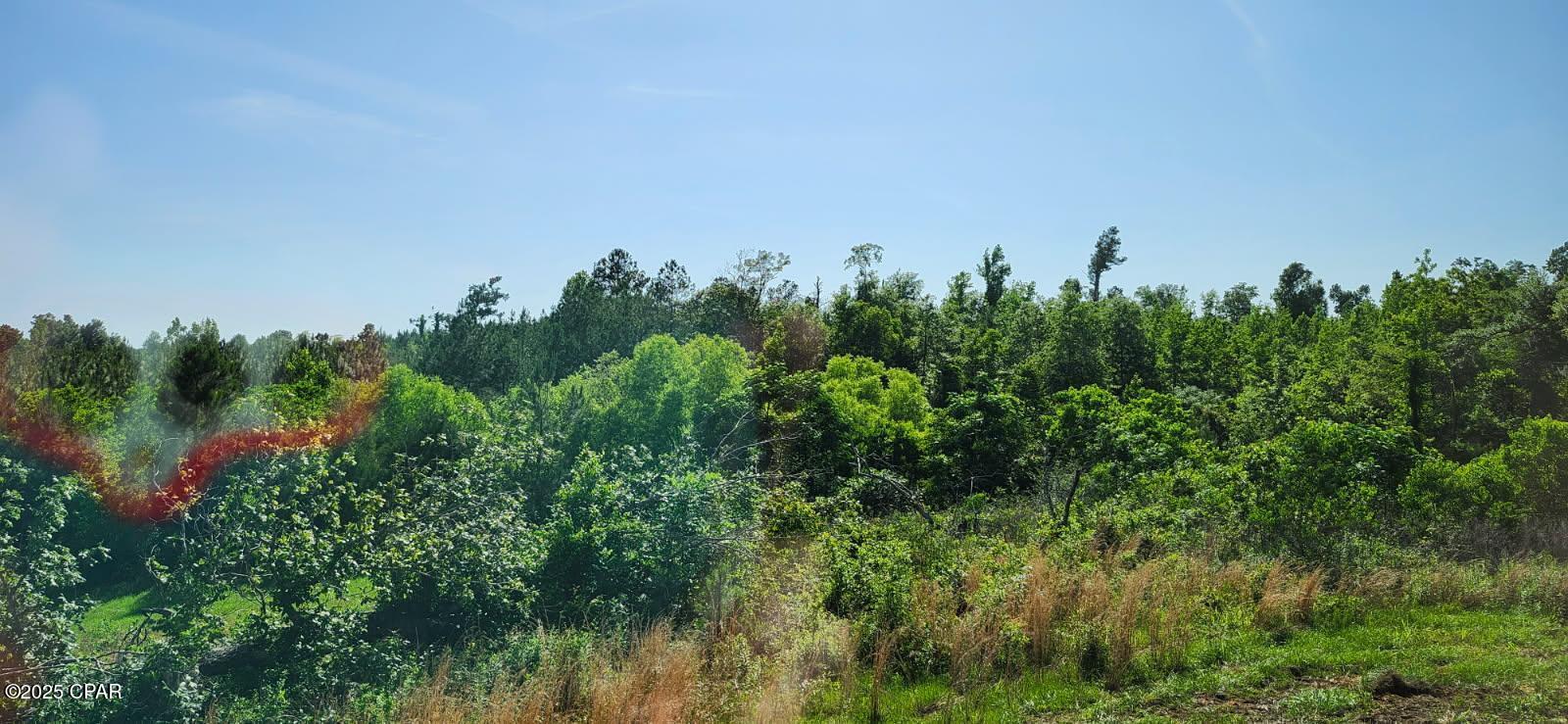 3037 Hunter Fish Camp Road