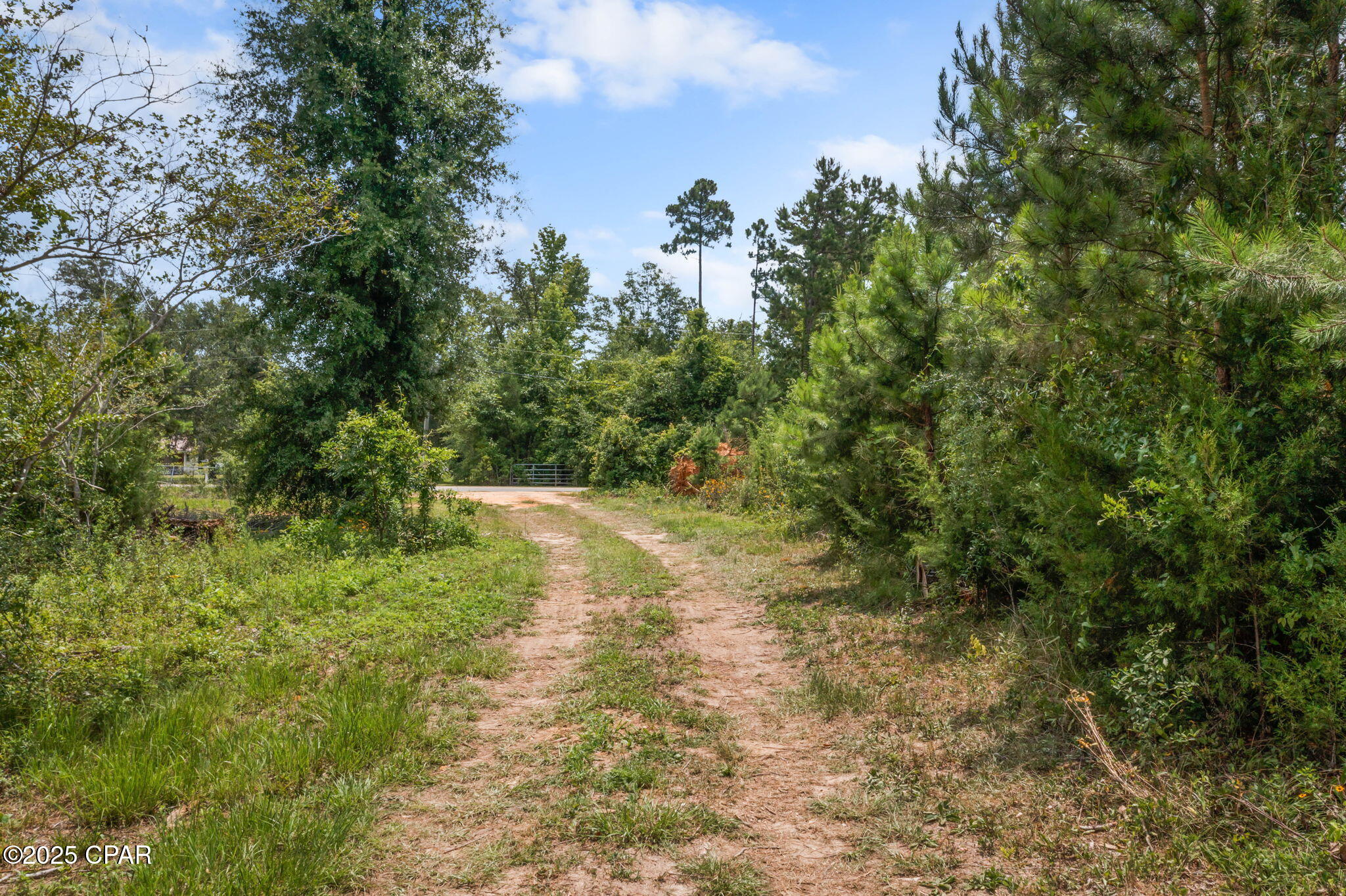 3037 Hunter Fish Camp Road