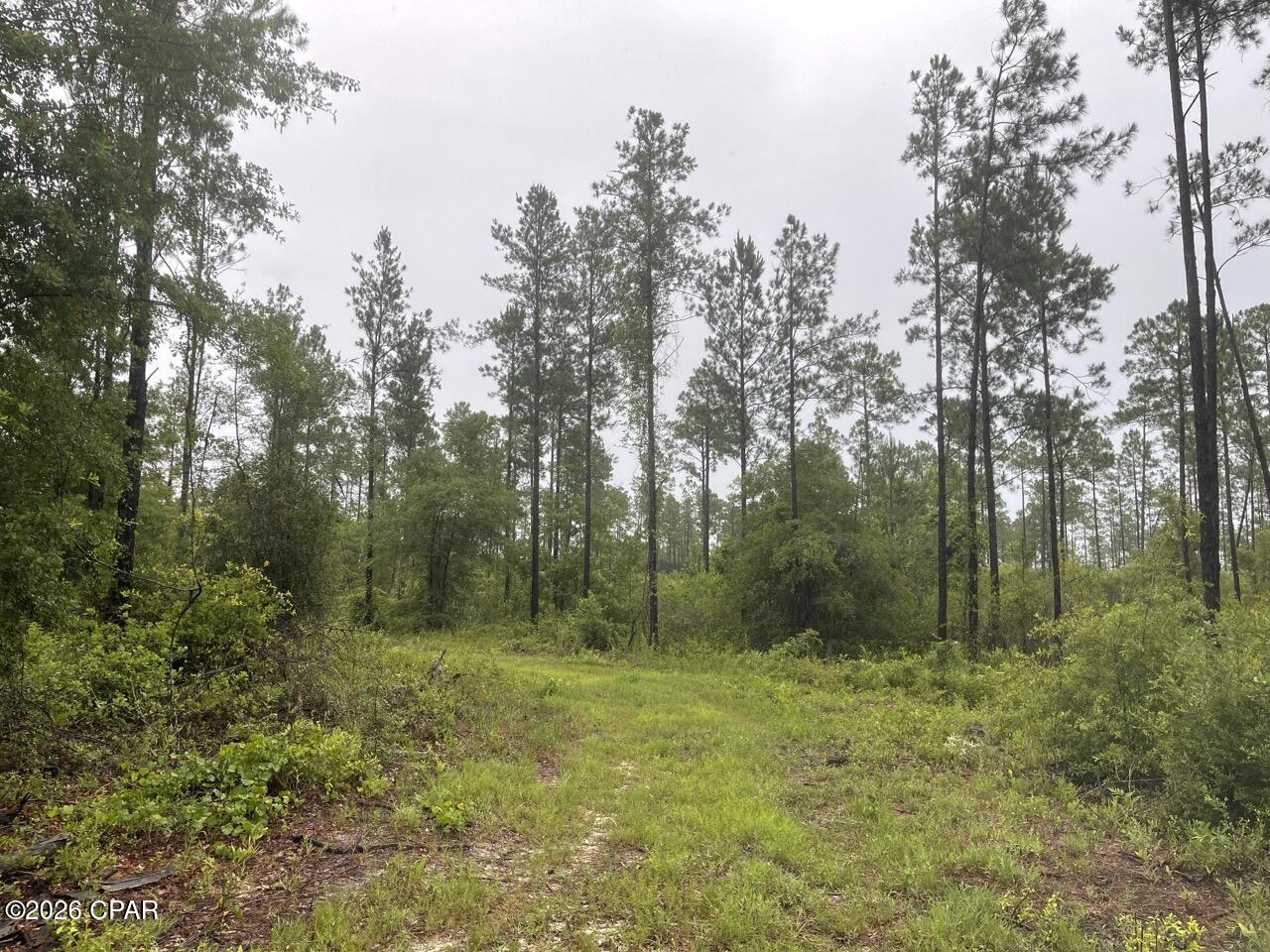5175 Highway 90