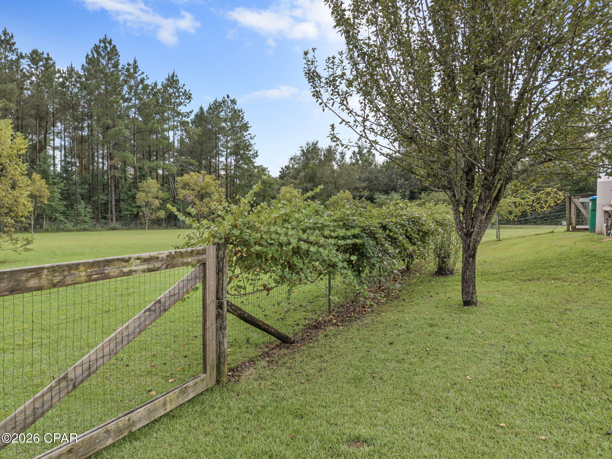 2434 Topaz Road