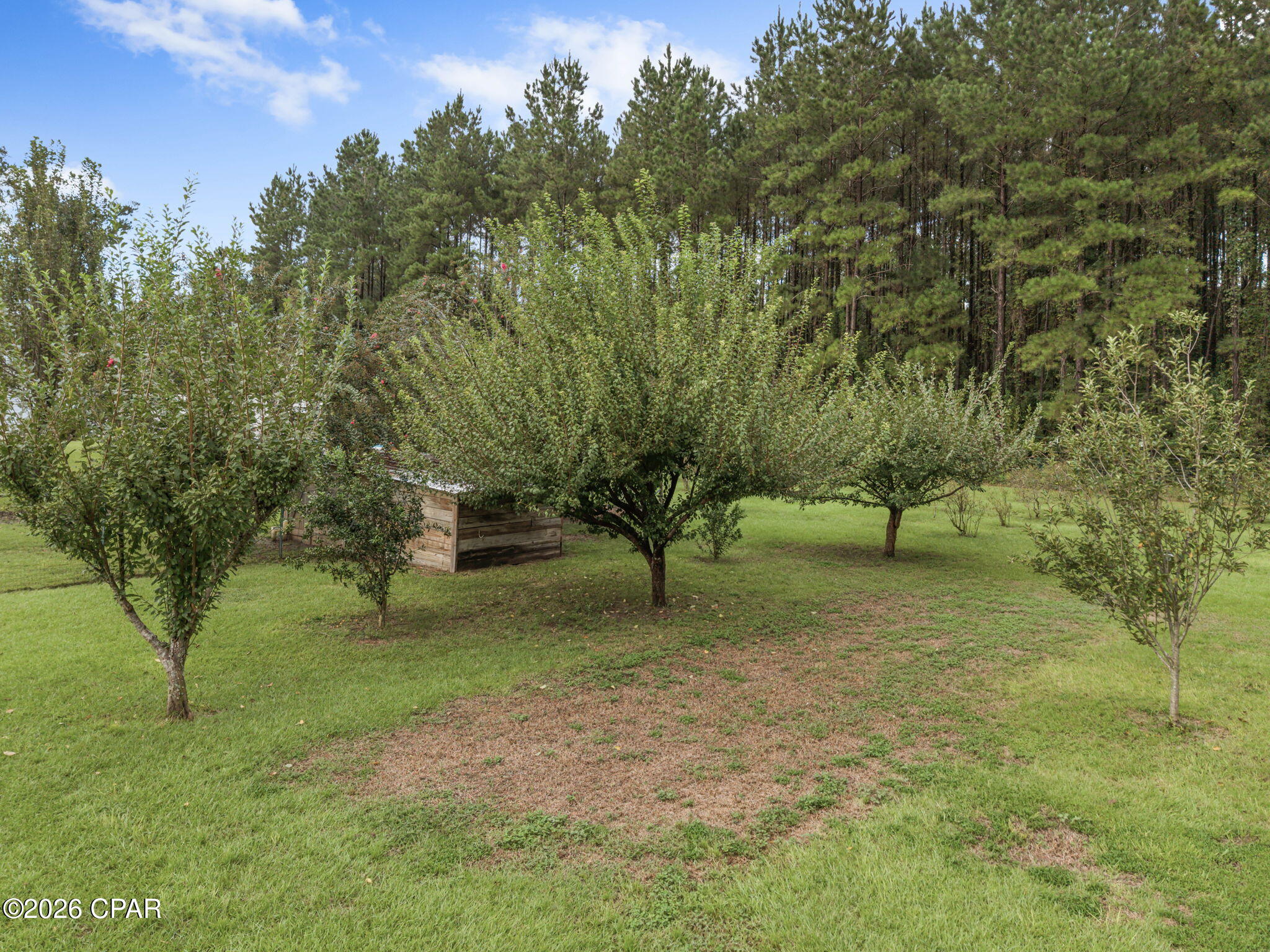 2434 Topaz Road