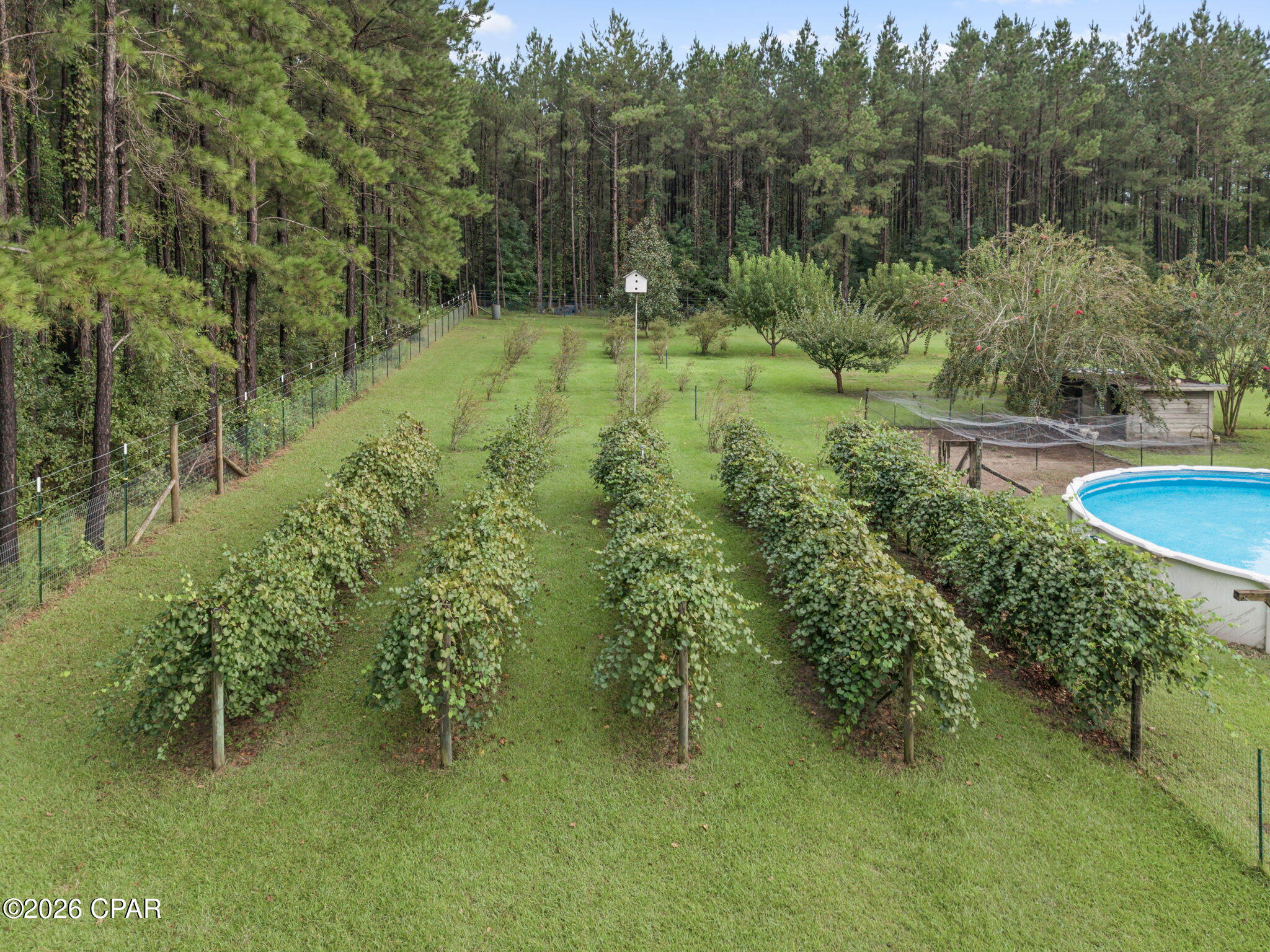 2434 Topaz Road