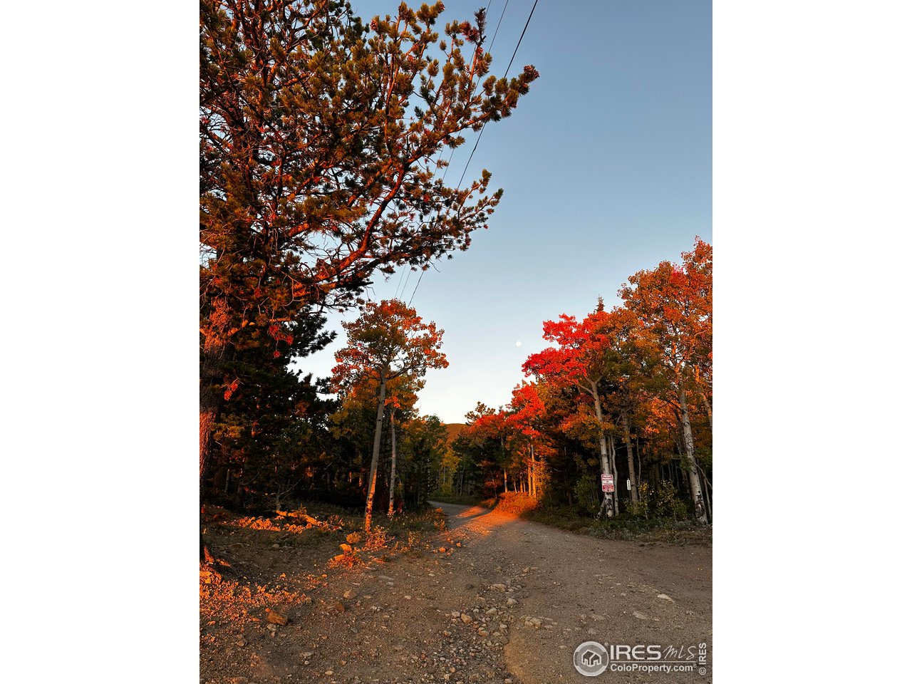 43391 Peak to Peak Hwy