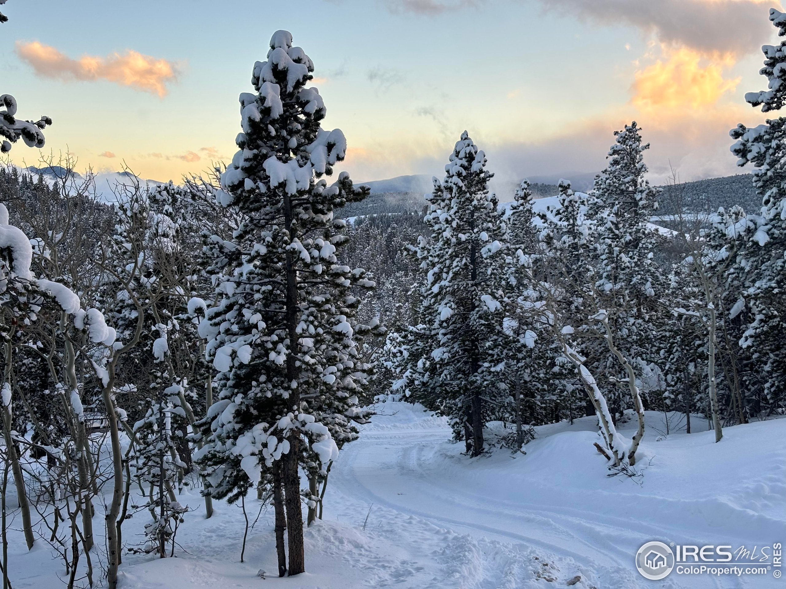 43391 Peak to Peak Hwy