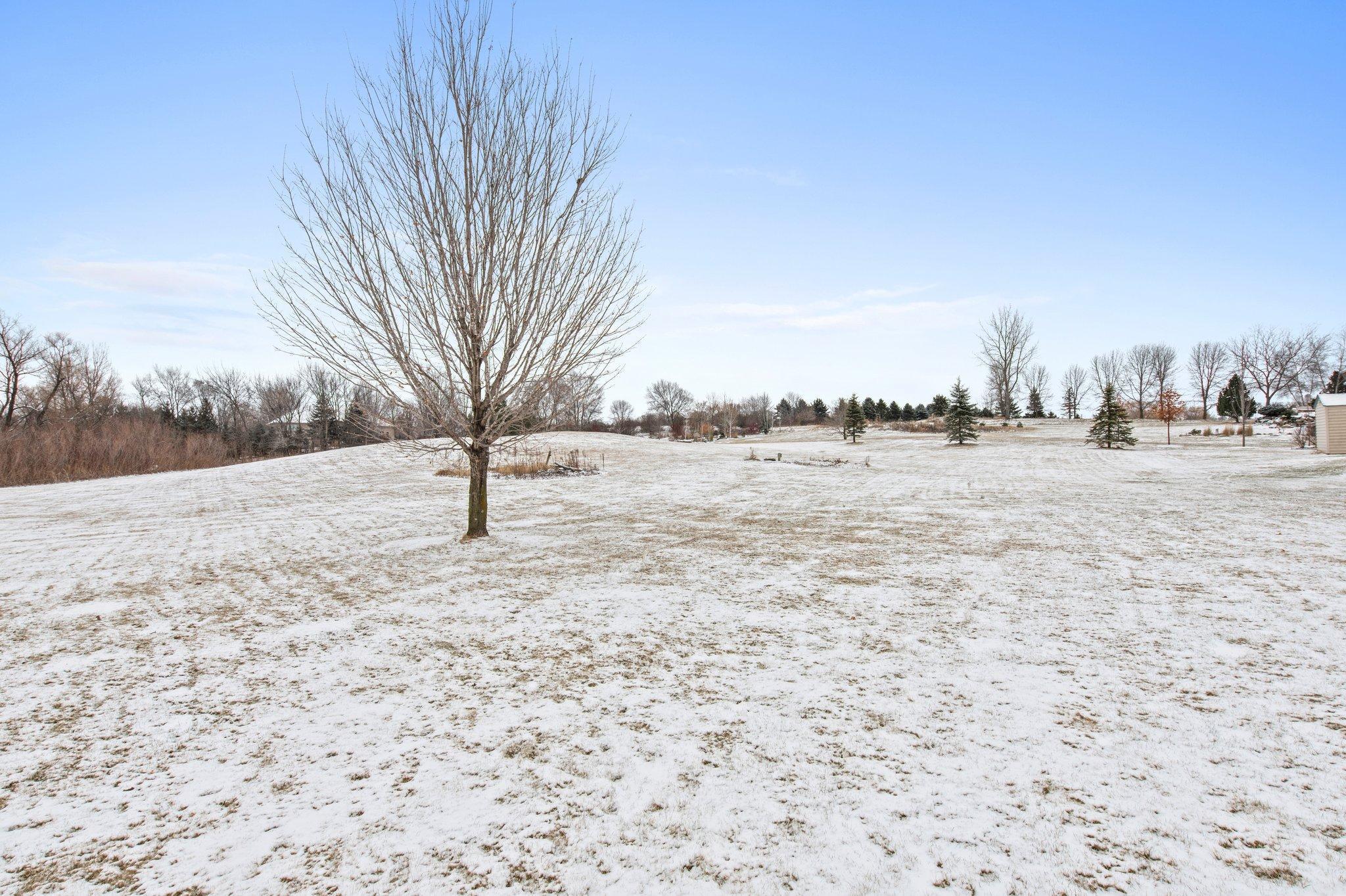 24151 Black Walnut Drive