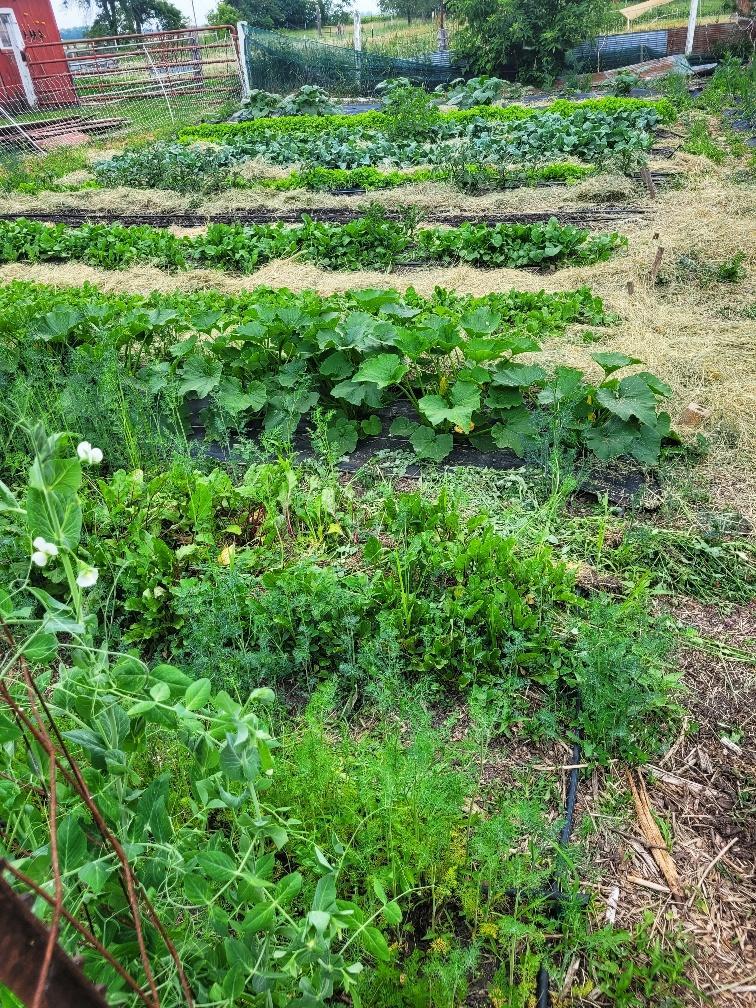 15100 W 250th Street