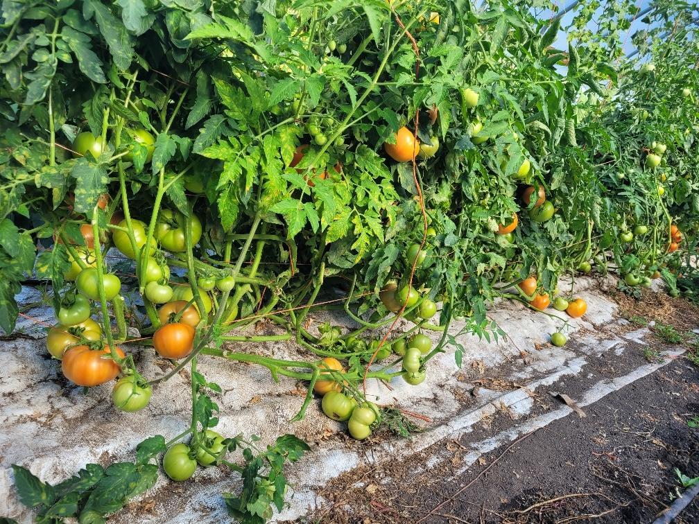 15100 W 250th Street