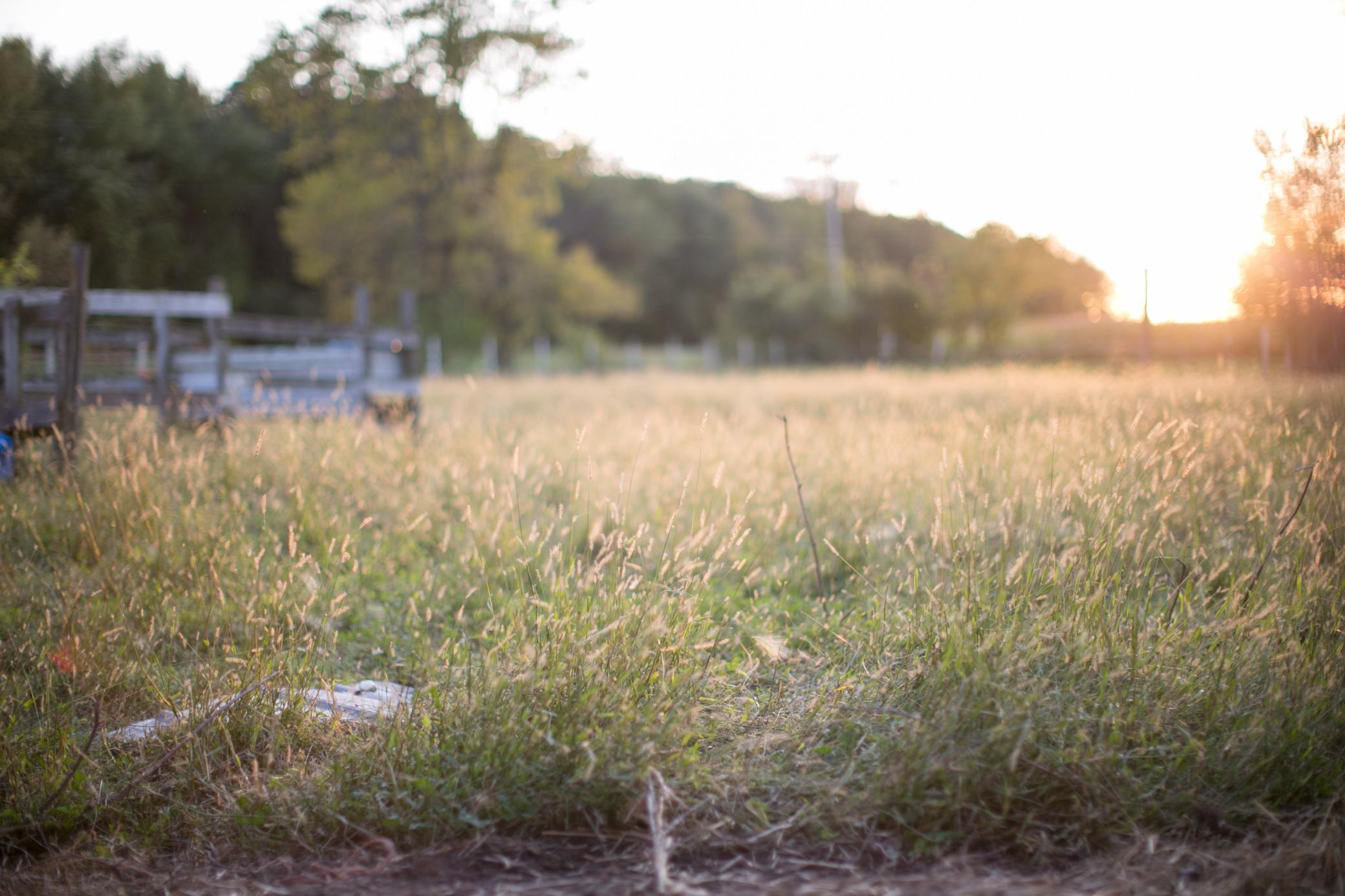 15100 W 250th Street