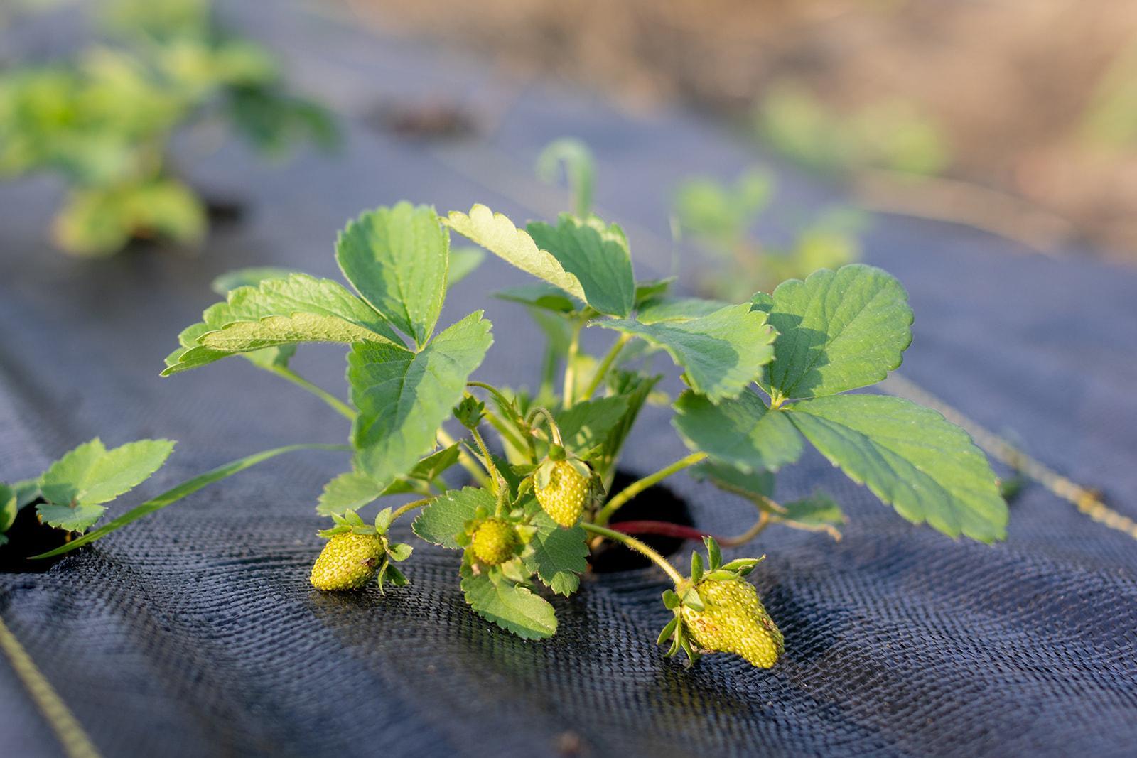 15100 W 250th Street