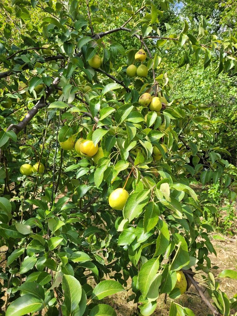 15100 W 250th Street