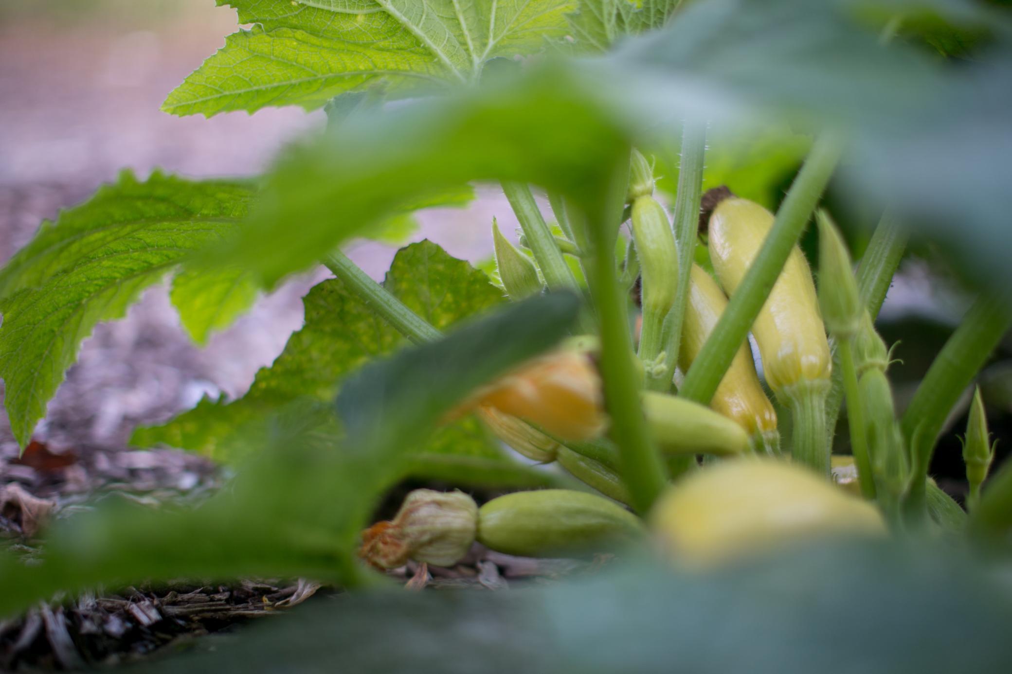 15100 W 250th Street