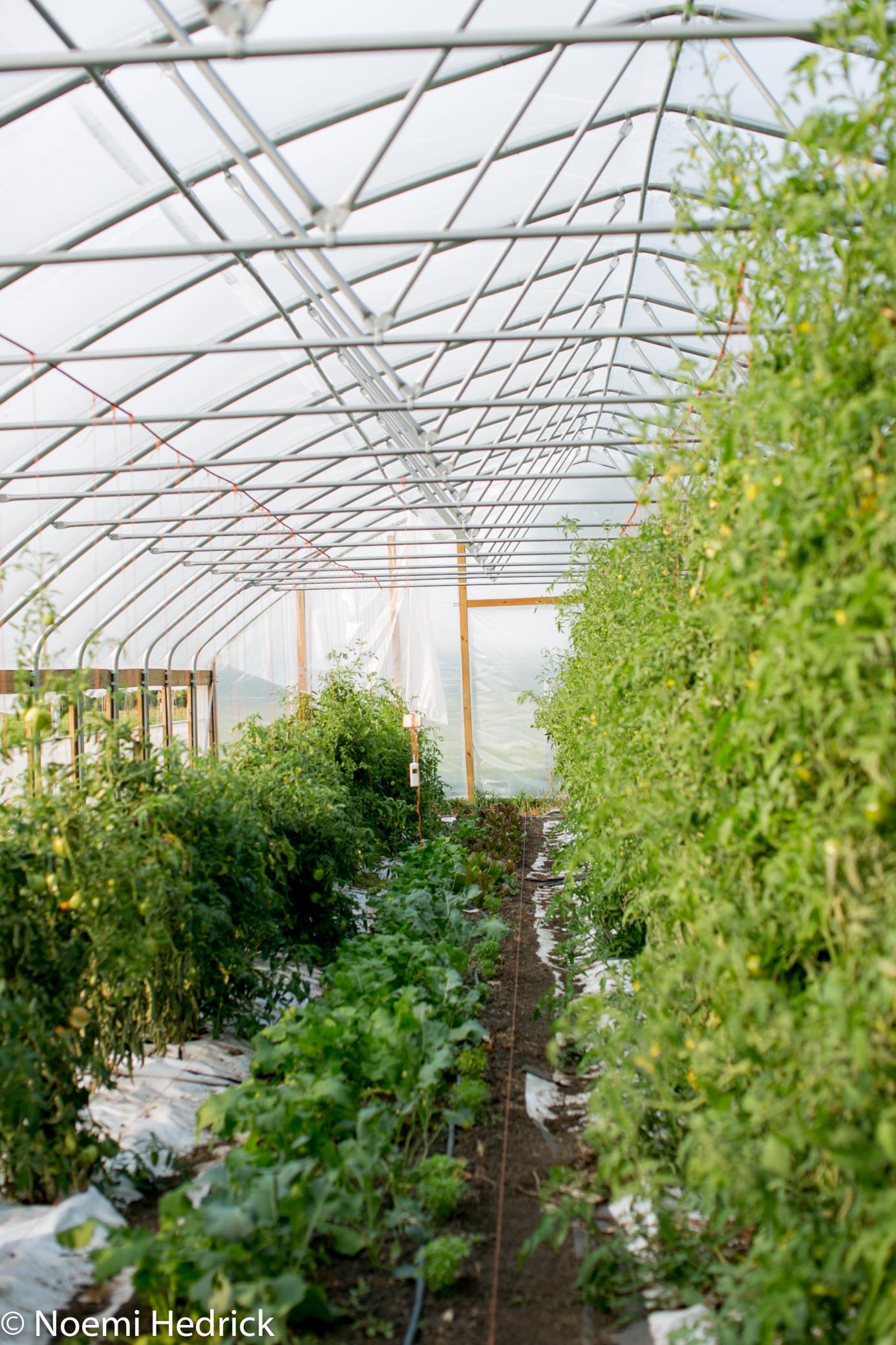 15100 W 250th Street