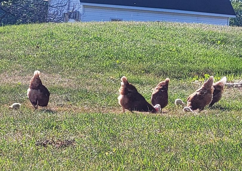 15100 W 250th Street