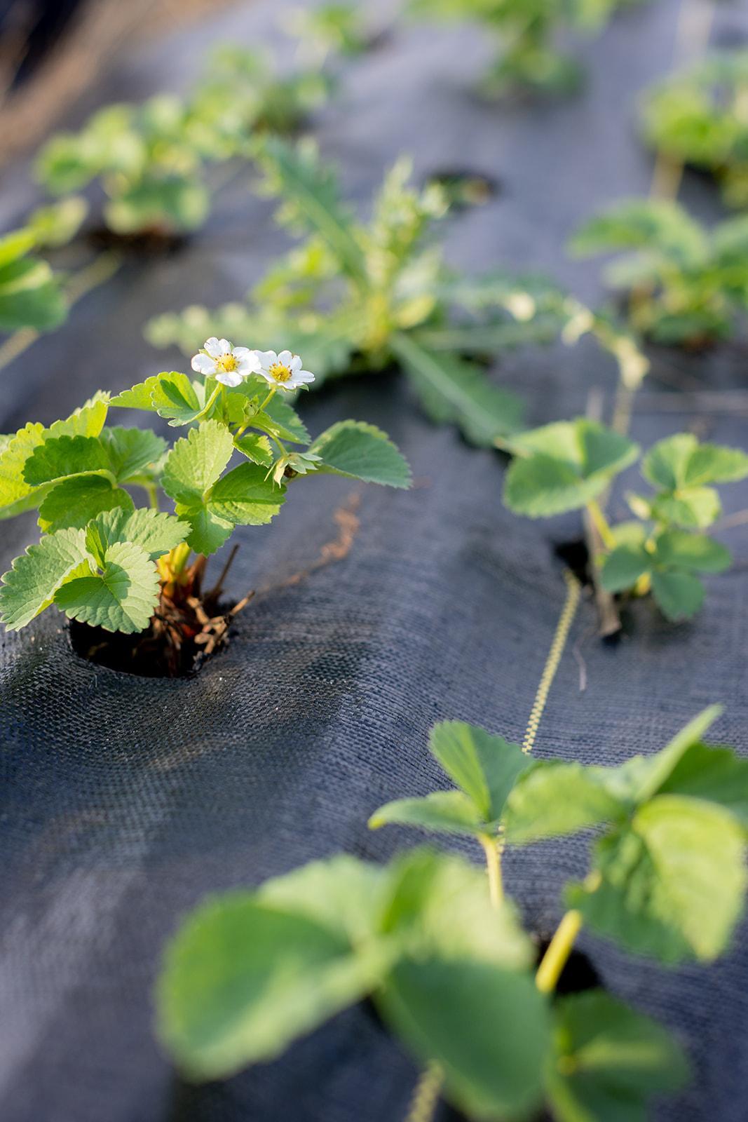 15100 W 250th Street