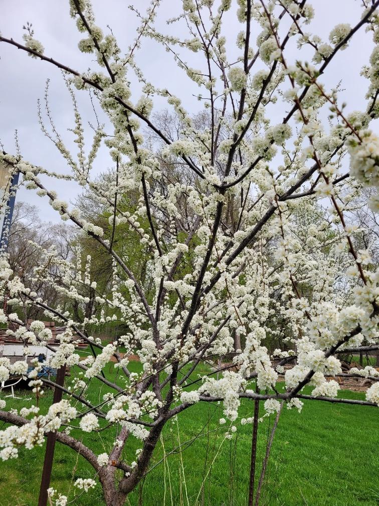 15100 W 250th Street