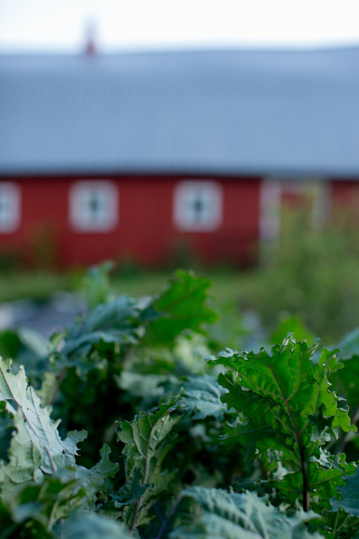 15100 W 250th Street