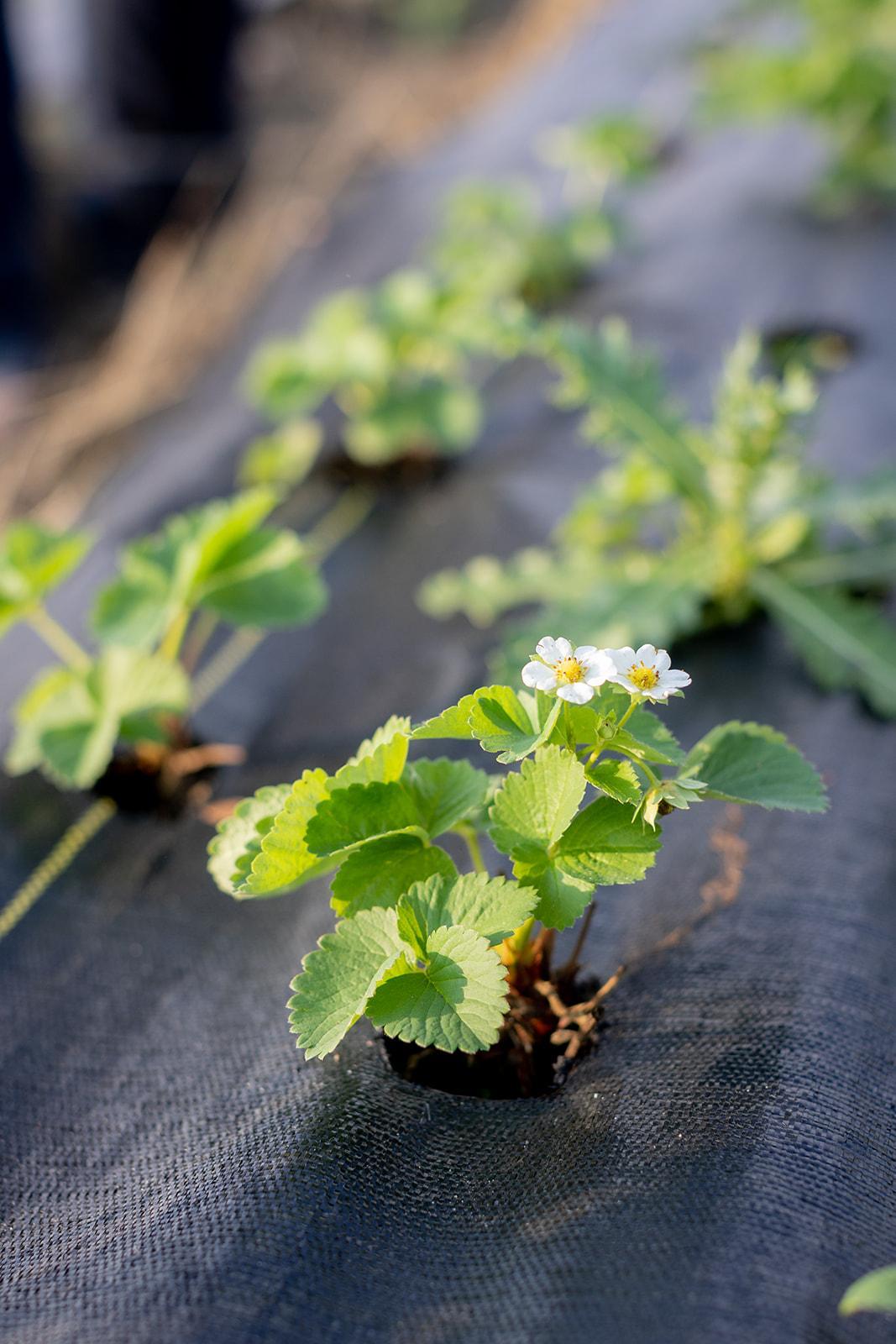 15100 W 250th Street