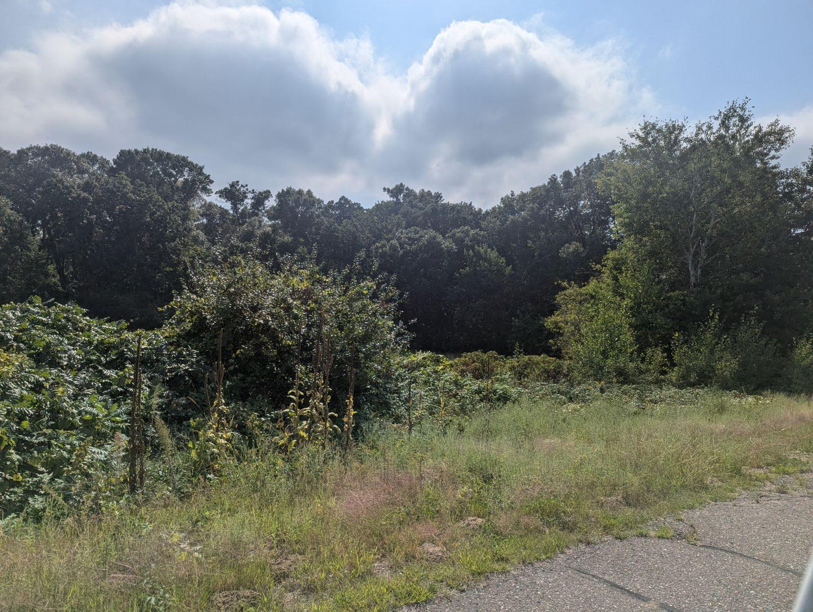 12XXX 296th Avenue NW