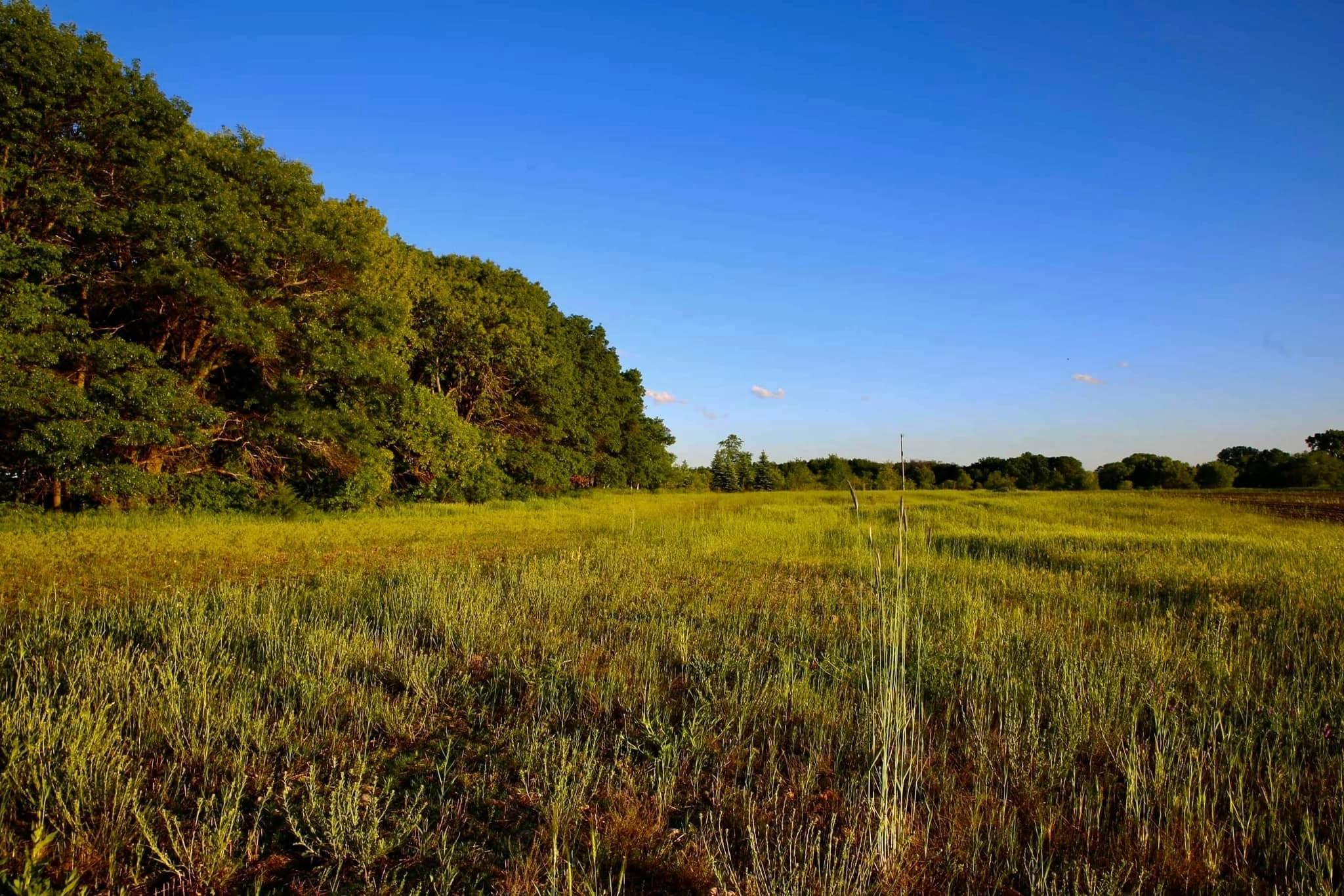 9527 253rd Avenue NW