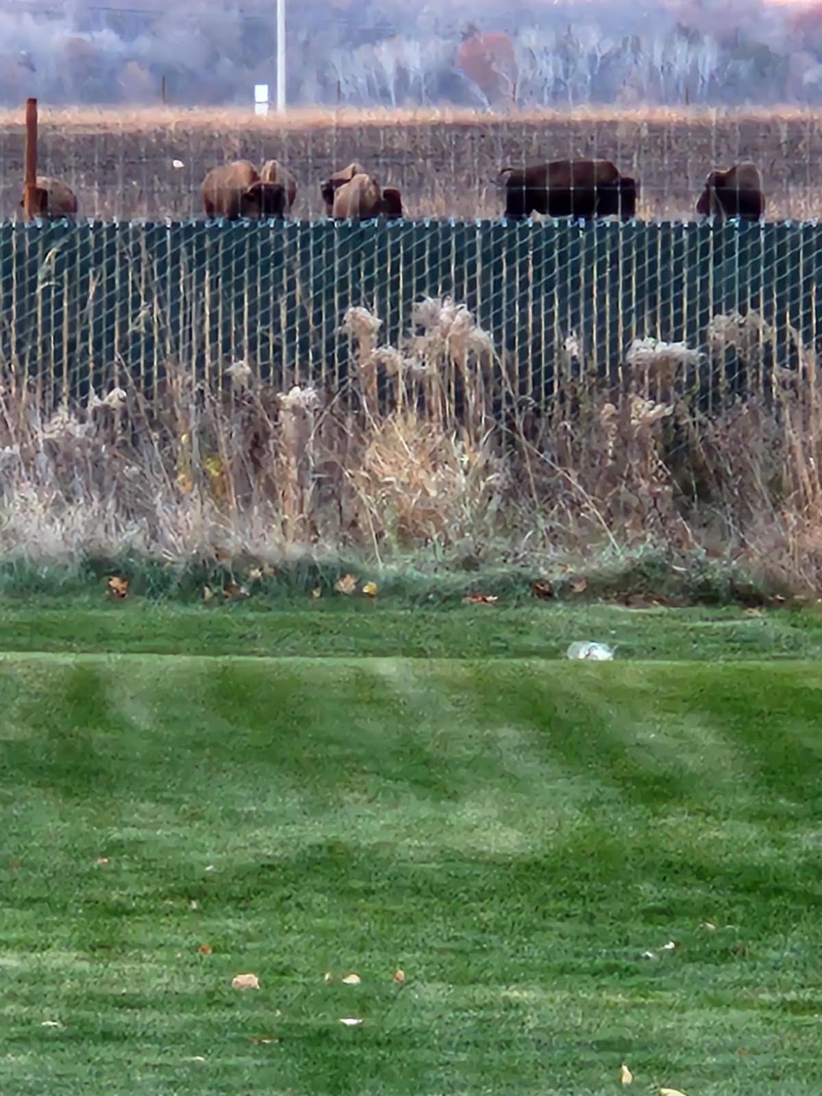 4213 Blakewood Drive