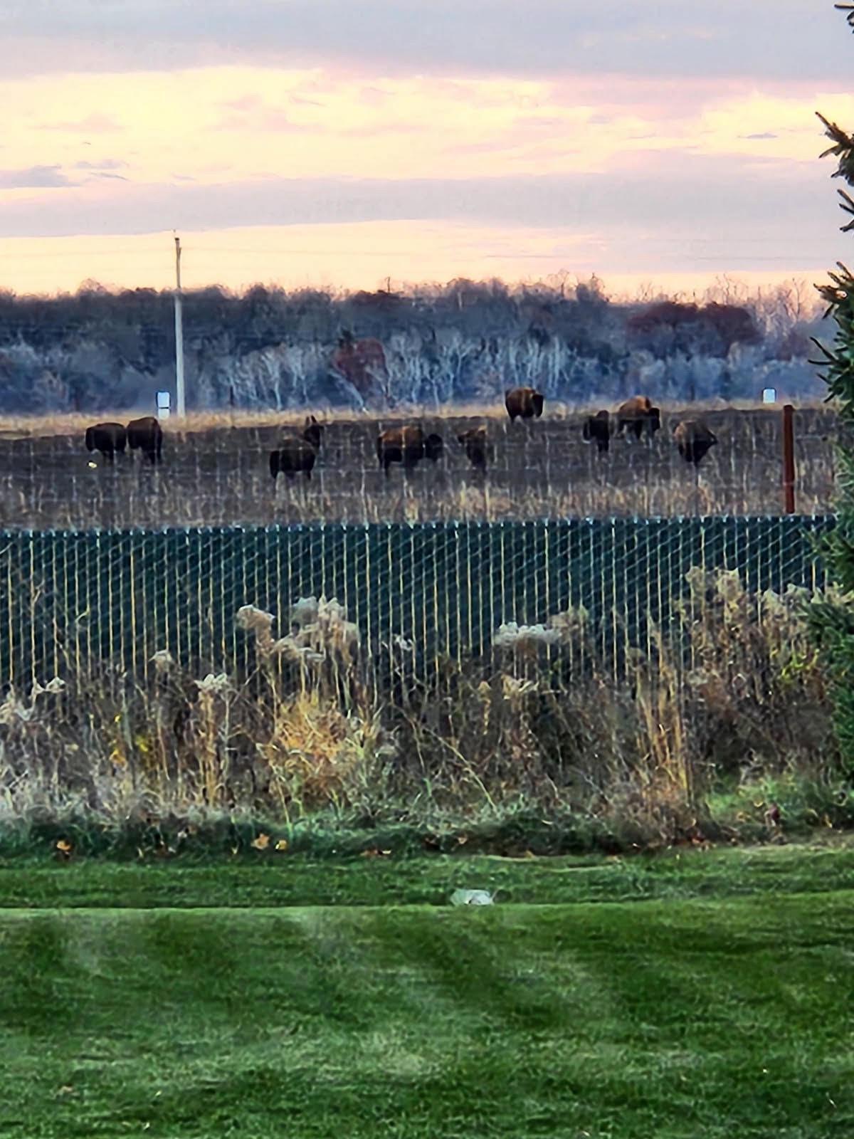 4213 Blakewood Drive