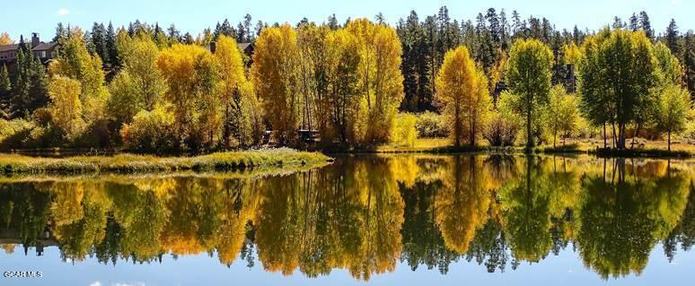 23 Wild Strawberry Drive #6