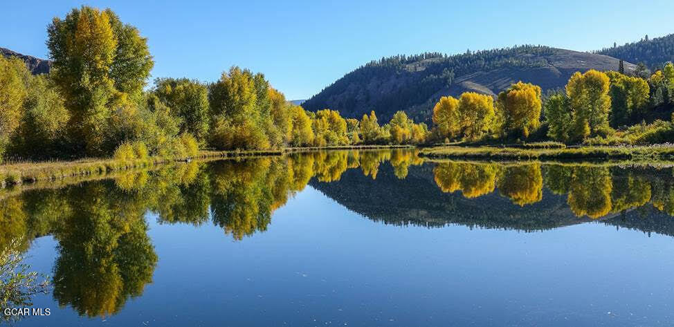 23 Wild Strawberry Drive #6