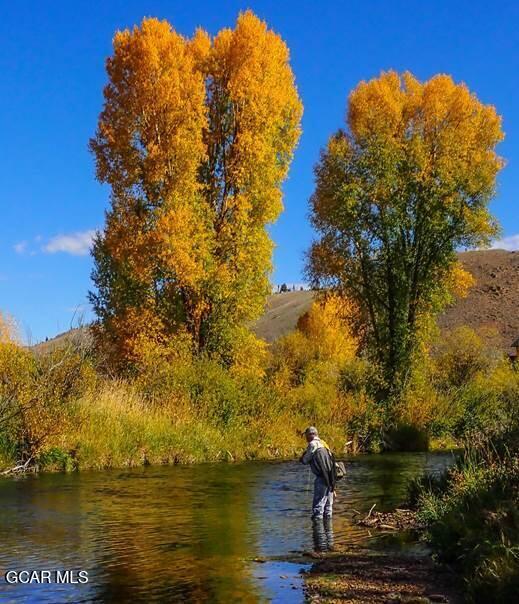 23 Wild Strawberry Drive #6