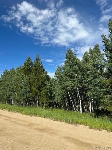 644 County Road 6234