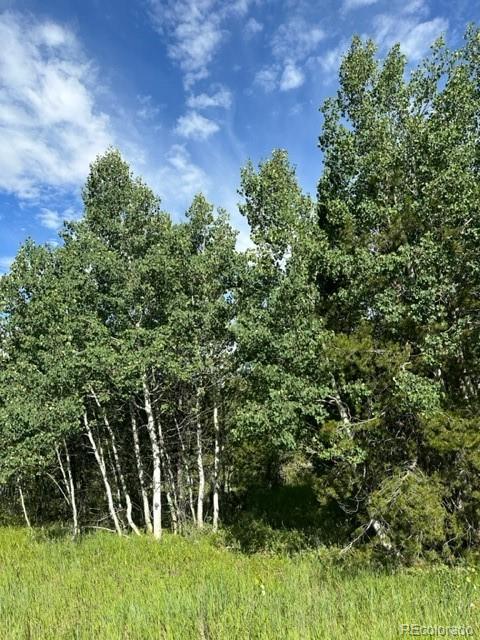 644 County Road 6234