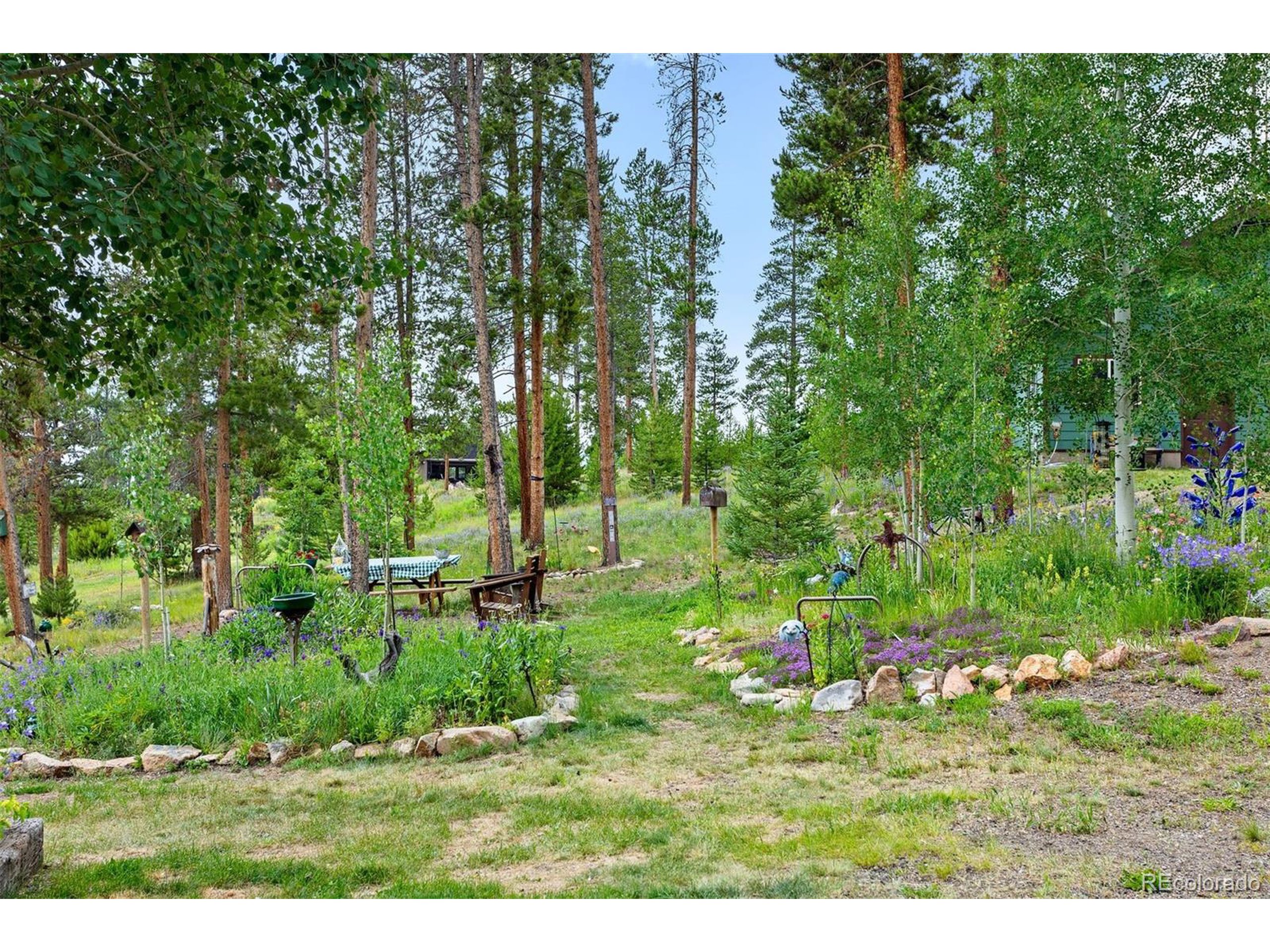 603 Aster Dr Tabernash