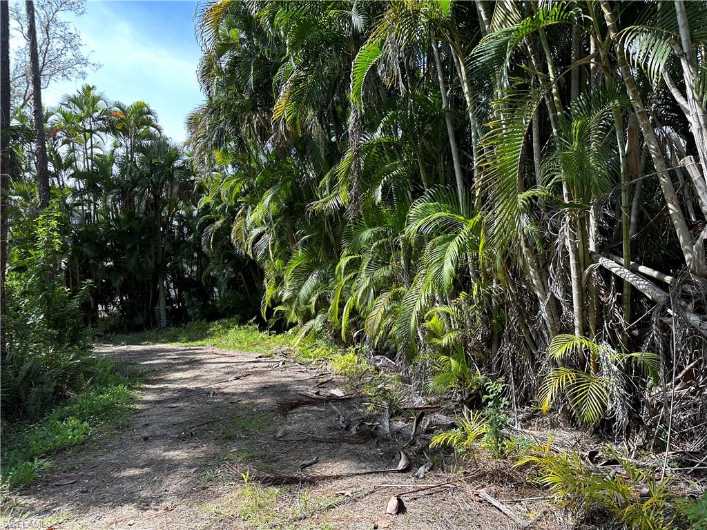 20708 Charing Cross CIR