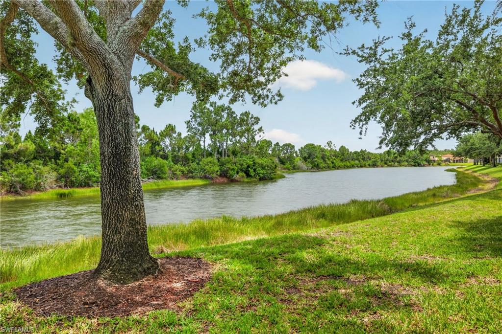 10109 Colonial Country Club BLVD 2410