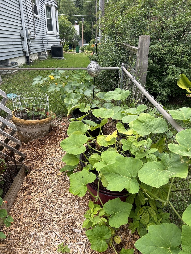 15 W Greenfield Avenue