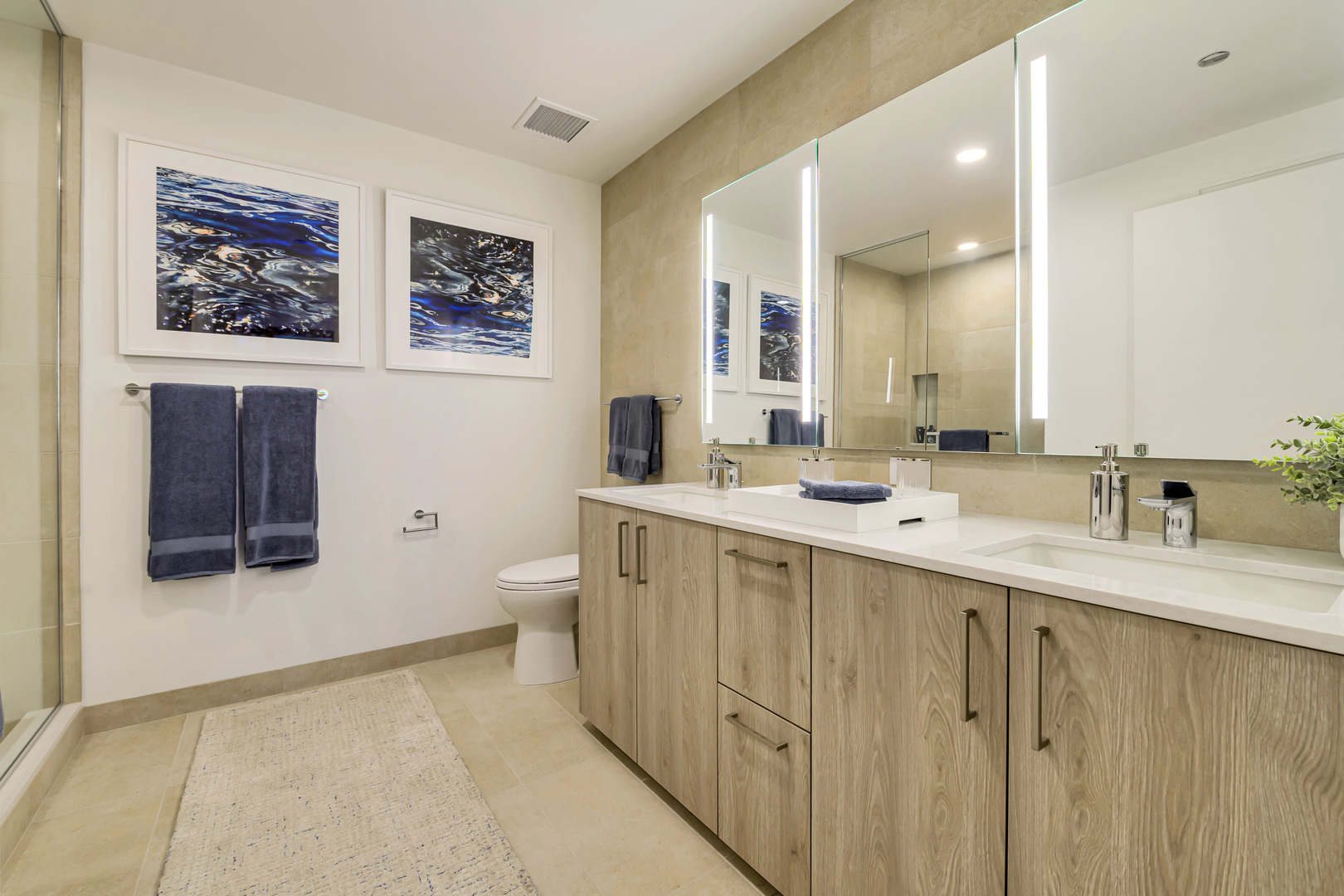 211 N Harbor Drive Unit: 3709
