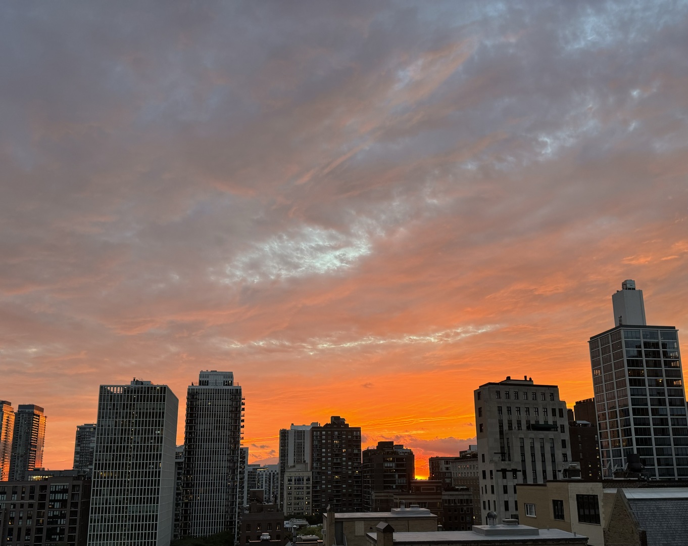 1240 N Lake Shore Drive Unit: 14A