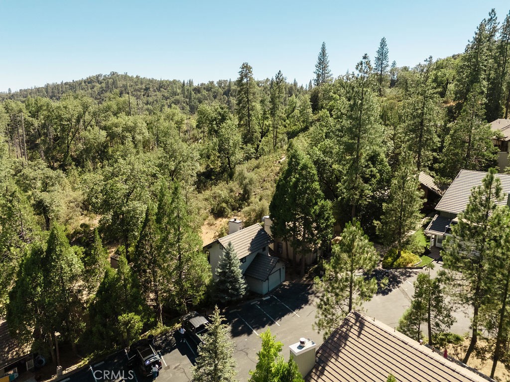 50836 Smoke Tree Trail