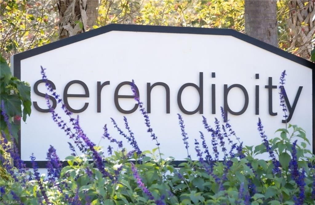 583 Serendipity DR 583