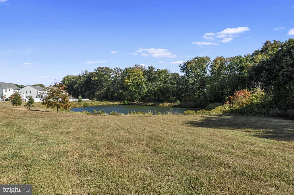 809 COLDWATER DRIVE